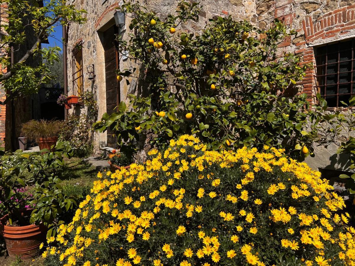 La Casina Dei Frati Villa Lucca Exterior photo